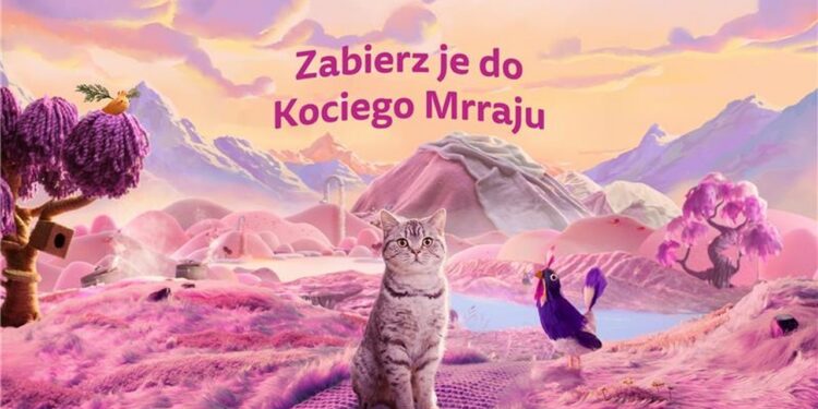 Poznaj wyniki badania ,,Zachowanie, osobowość i codzienność kotów” od WHISKAS®